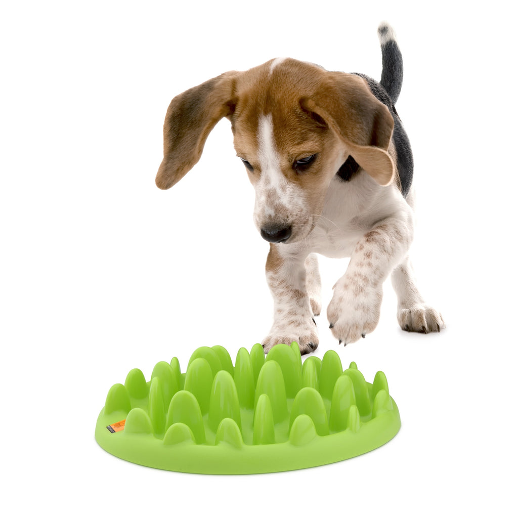 Northmate Green Interactive Slow Food Dog Bowl