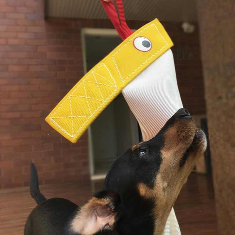 Aussie Dog - Bungee Chook