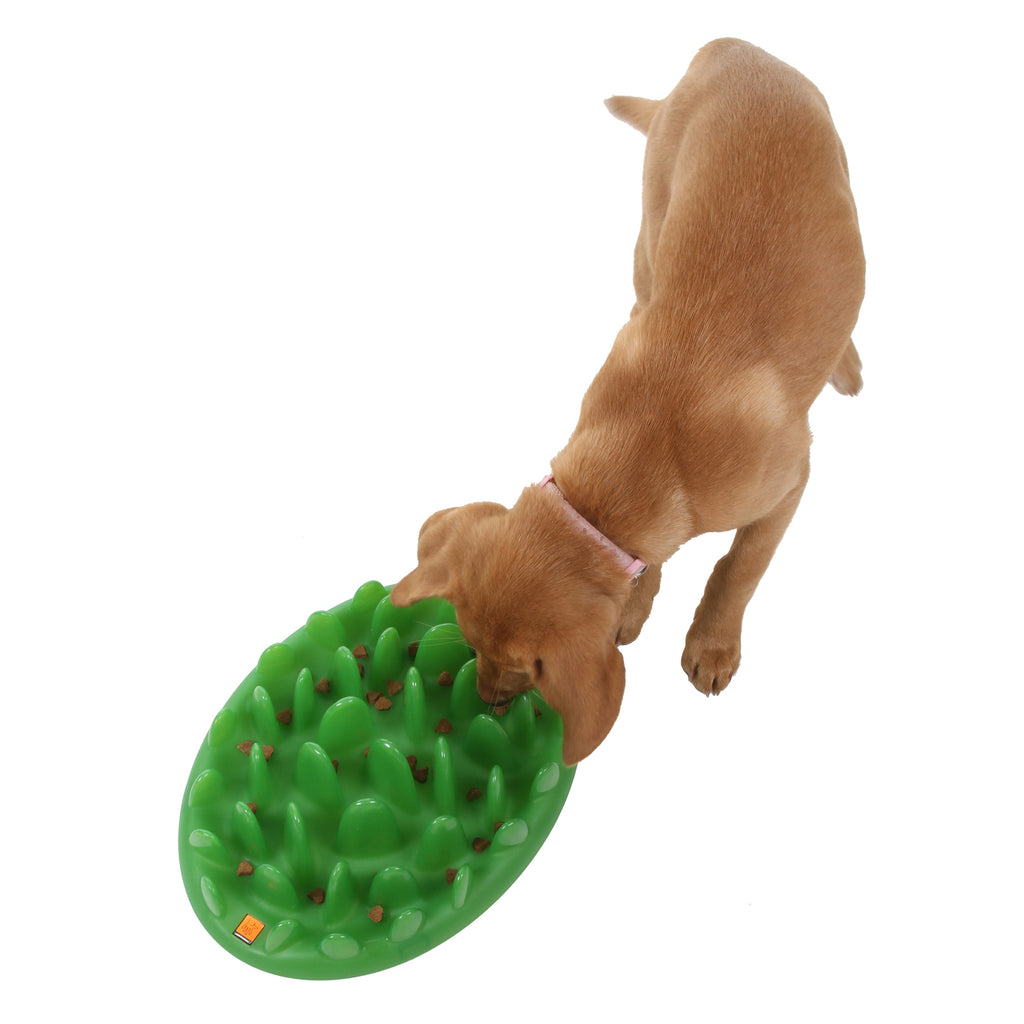 Northmate Green Interactive Slow Food Dog Bowl